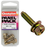Champion - HEX SET SCREWS-SEMS-HEX IND COMBO DVE-FLAT/SPRING WASHER-PILOT-M6x20mm | TF250